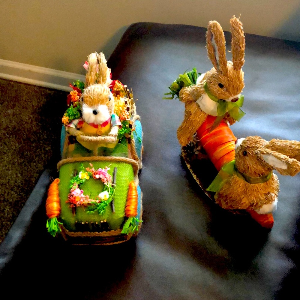 Pier One Easter decor. Mint condition. Barely use